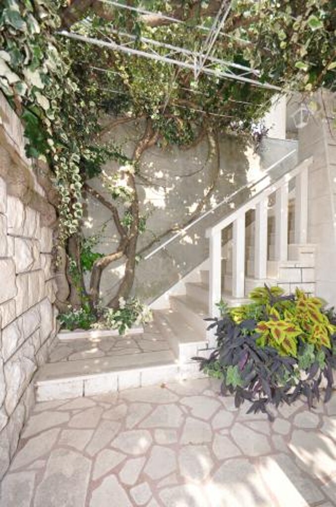 Image 3839002 - 4