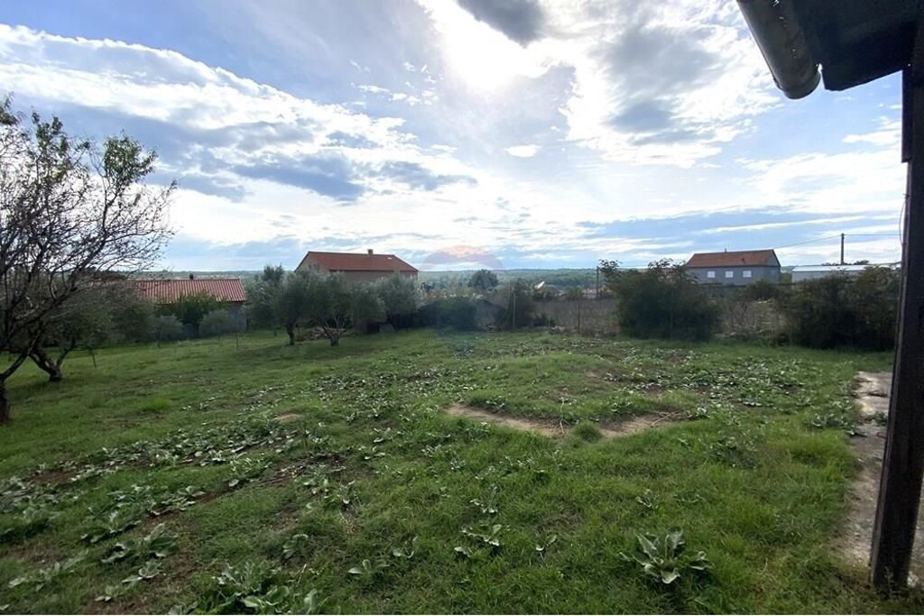 Image 15