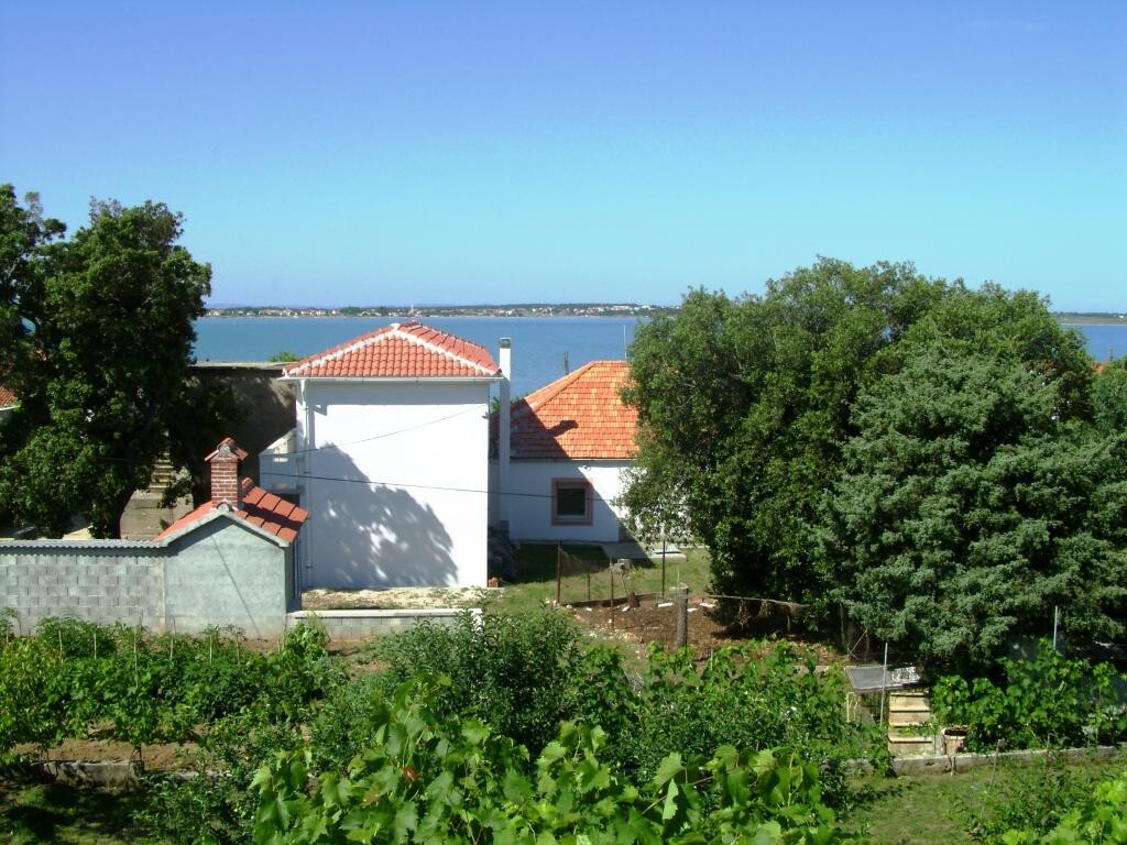 Image 3810689 - 26