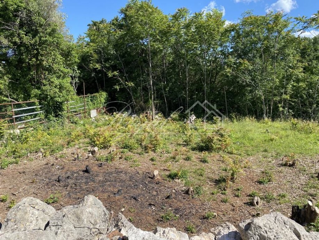 Image 14