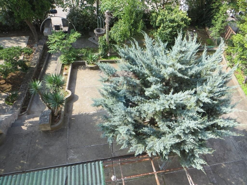 Image 5410969 - 12