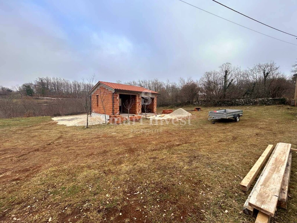 Image 11