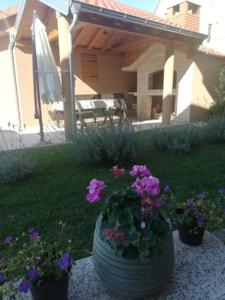 Image 3838502 - 4
