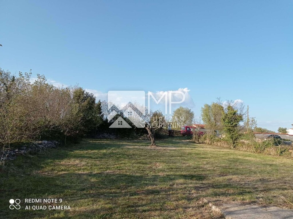 Image 6185954 - 4