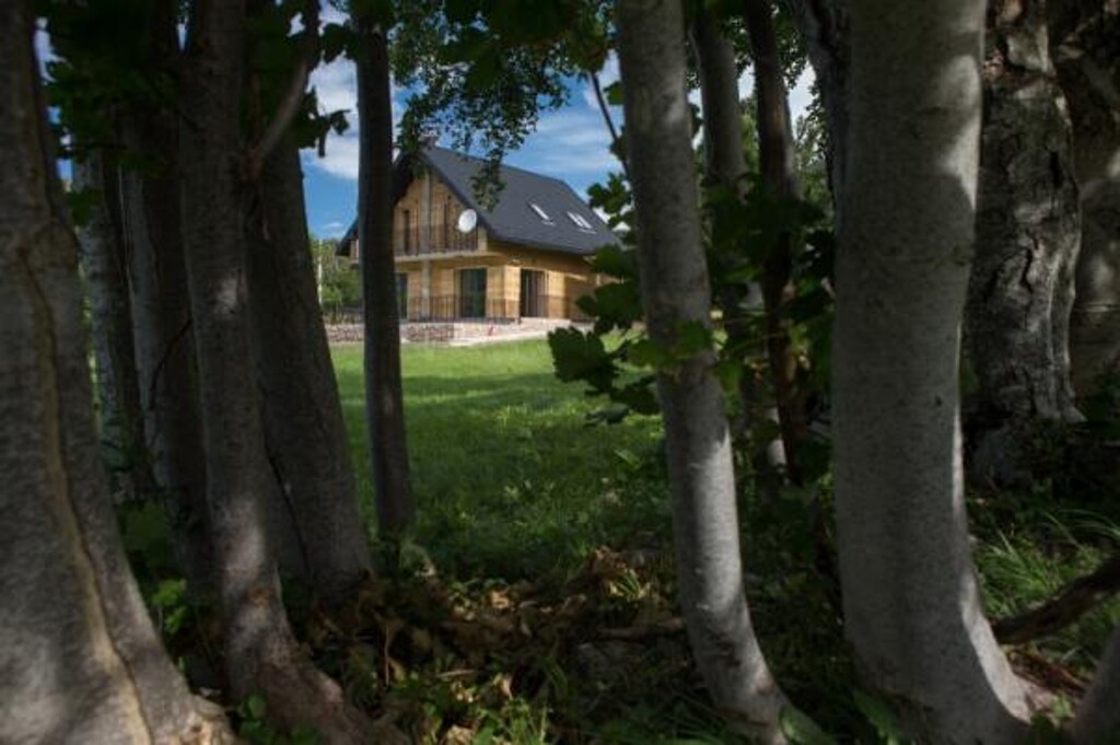 Image 3836459 - 6