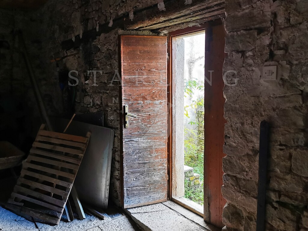 Image 16