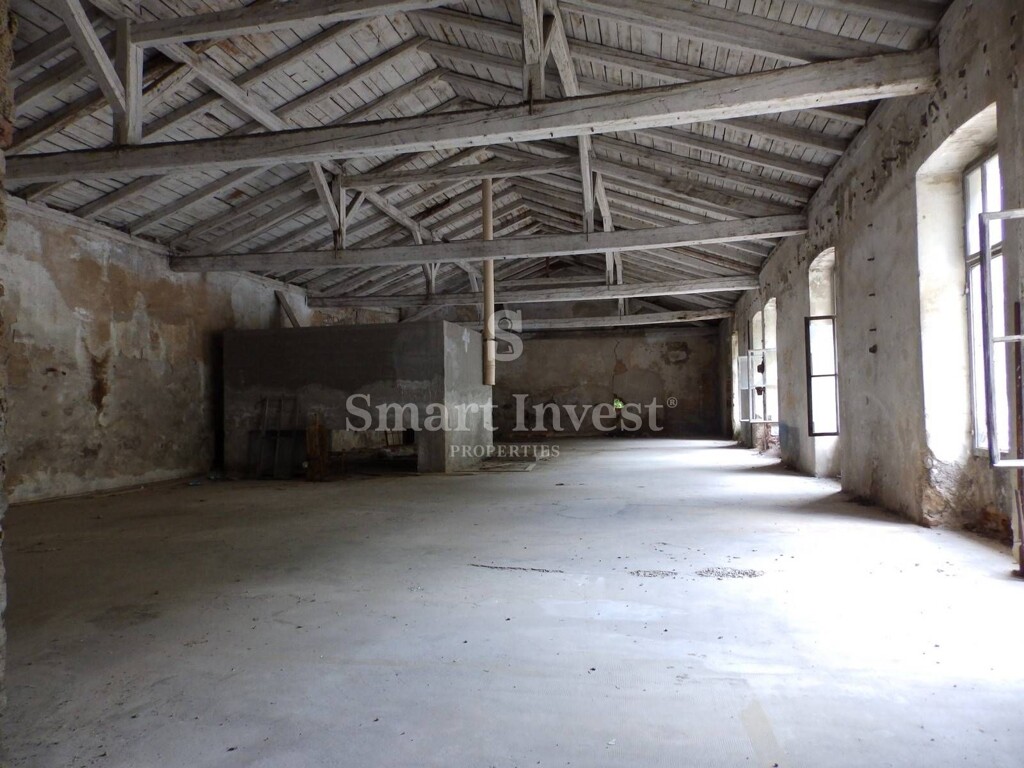 Image 6
