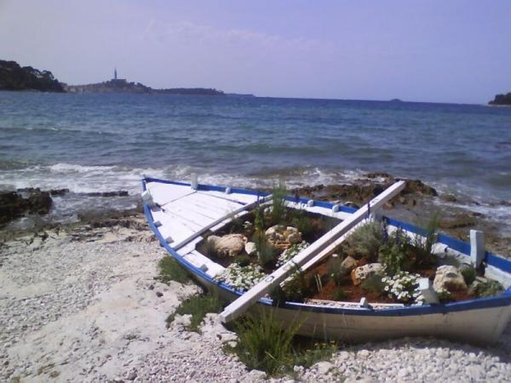 Image 3811507 - 7