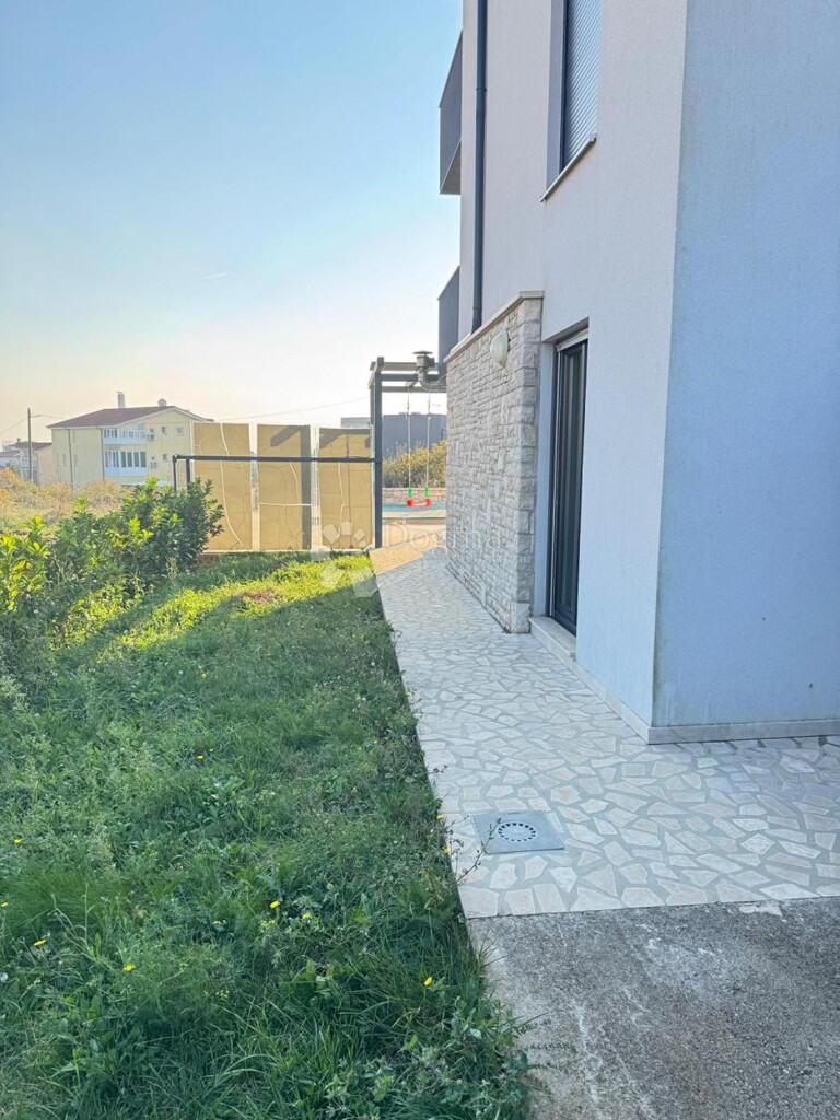 Image 12