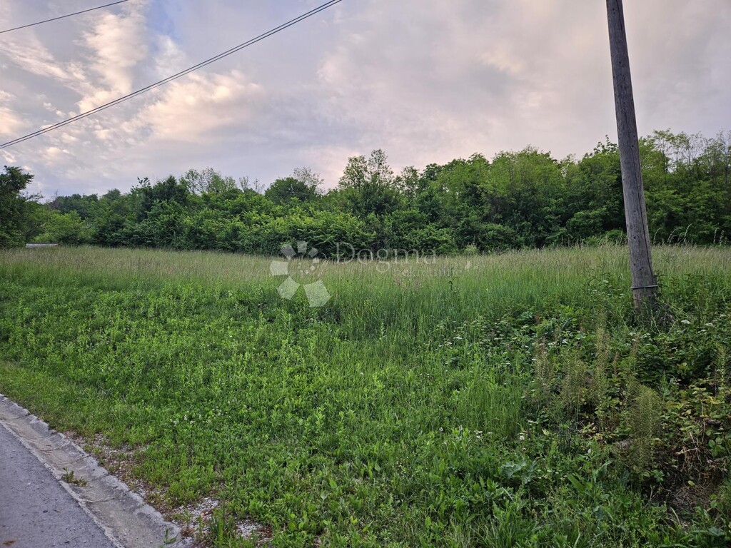 Image 13