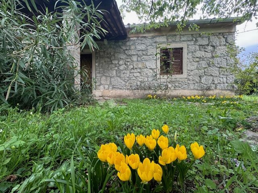 Image 19