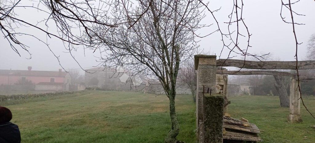 Image 14