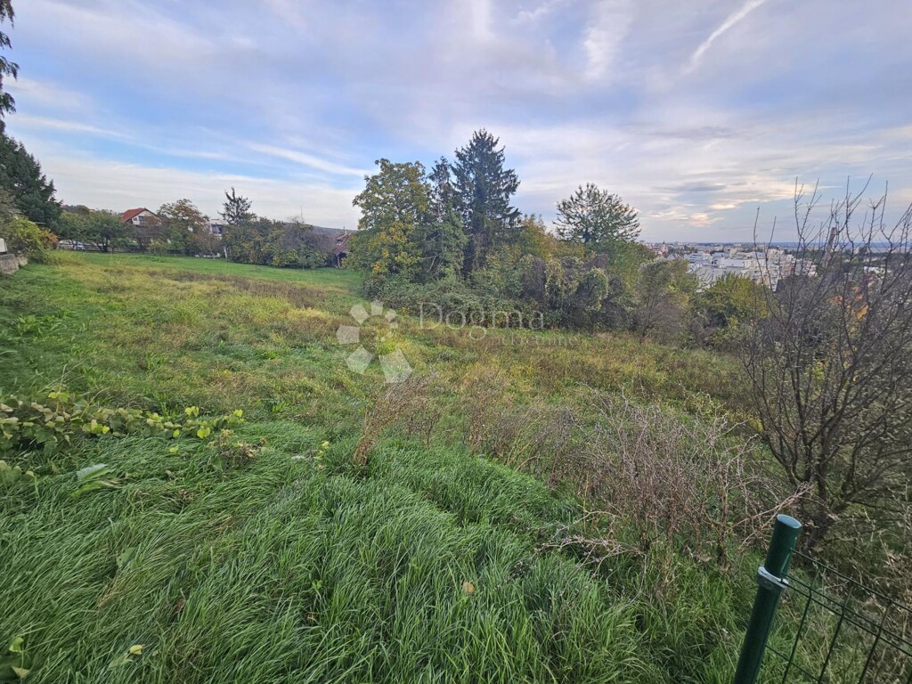 Image 13
