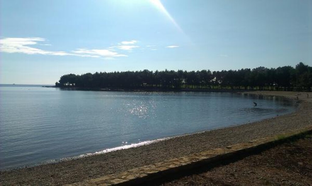 Image 3811473 - 16