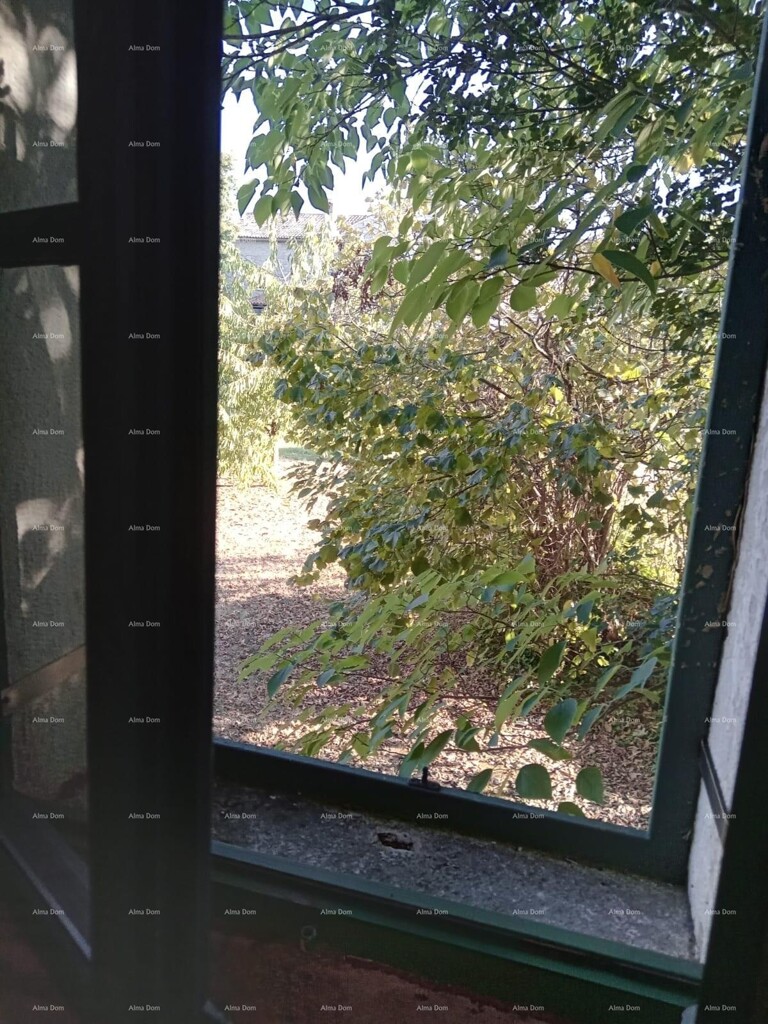 Image 15