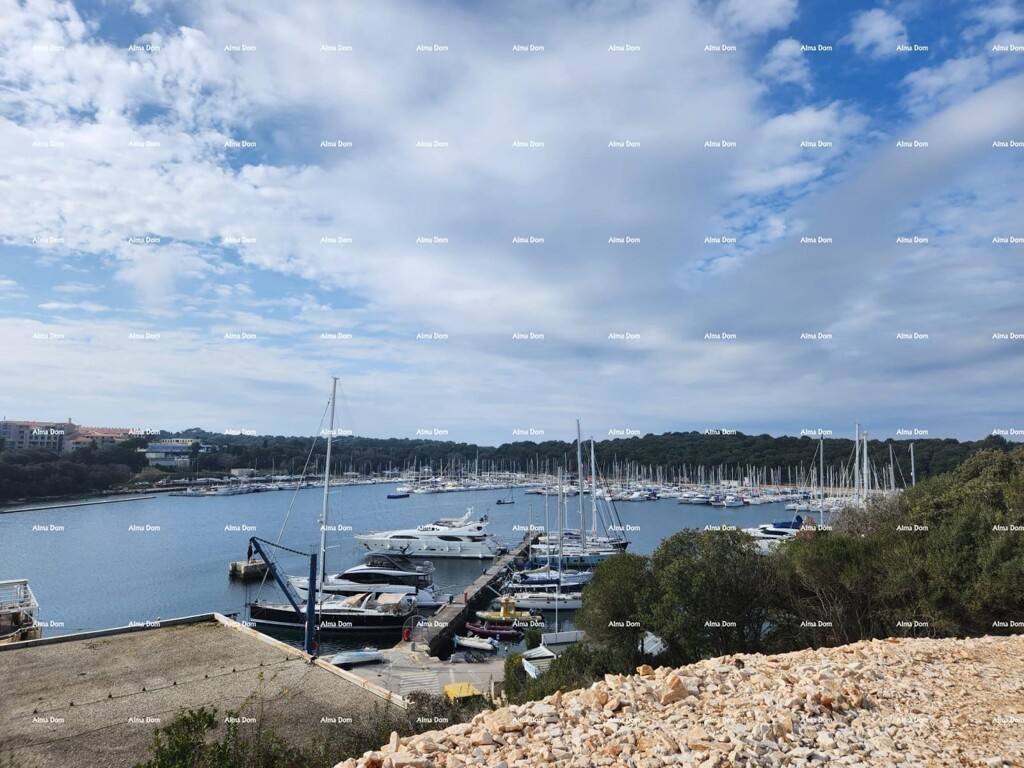 Image 14