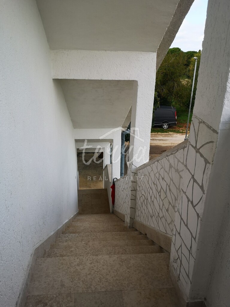Image 19