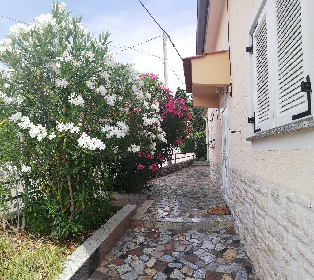 Image 3811312 - 1