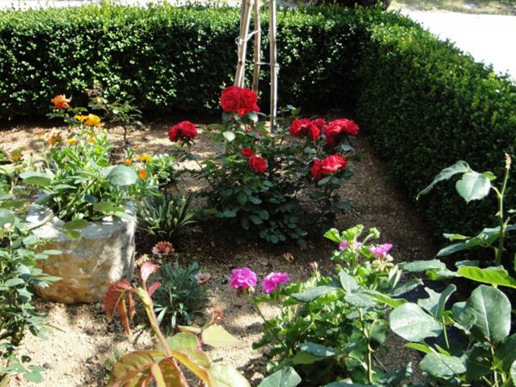 Image 3811426 - 21