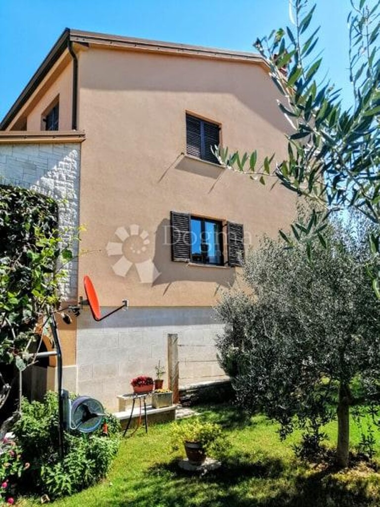 Image 21
