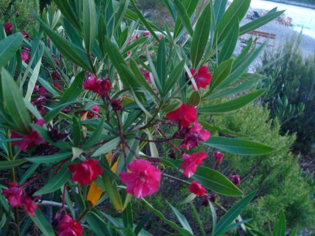 Image 3813642 - 11