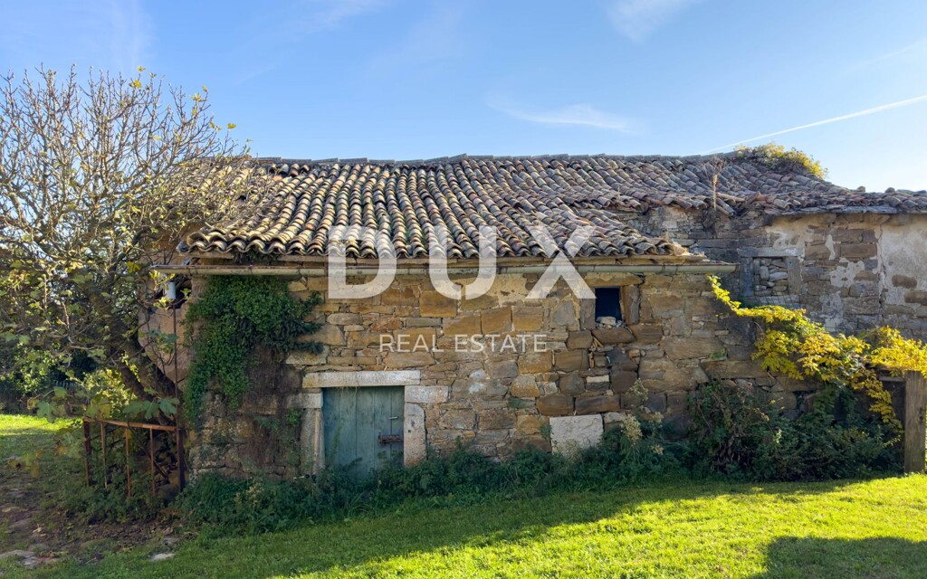 Image 22