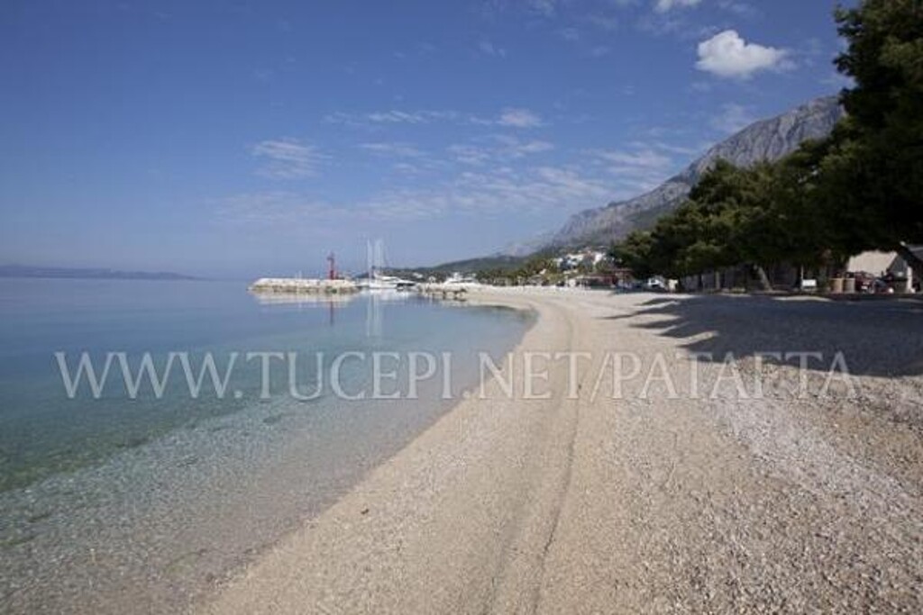 Image 3813116 - 6