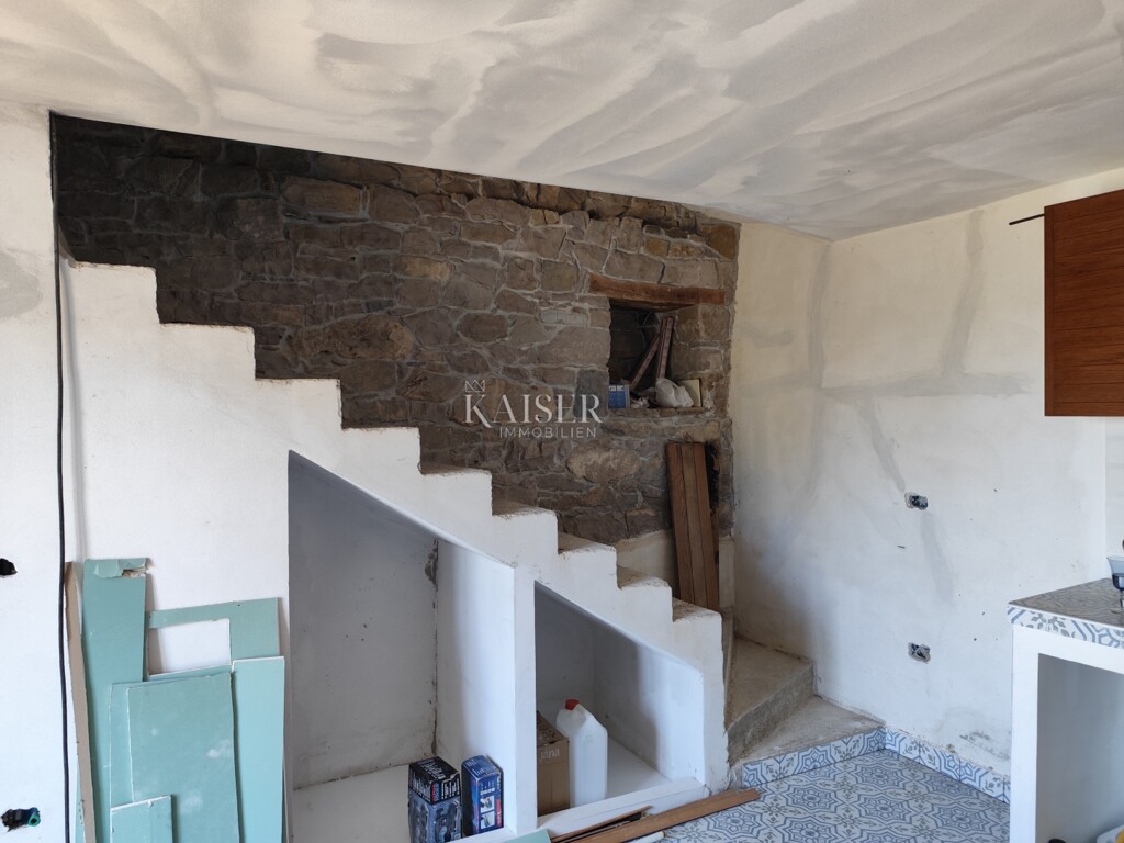 Image 13