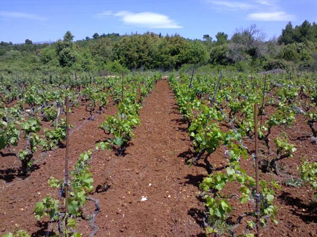 Image 3813389 - 29