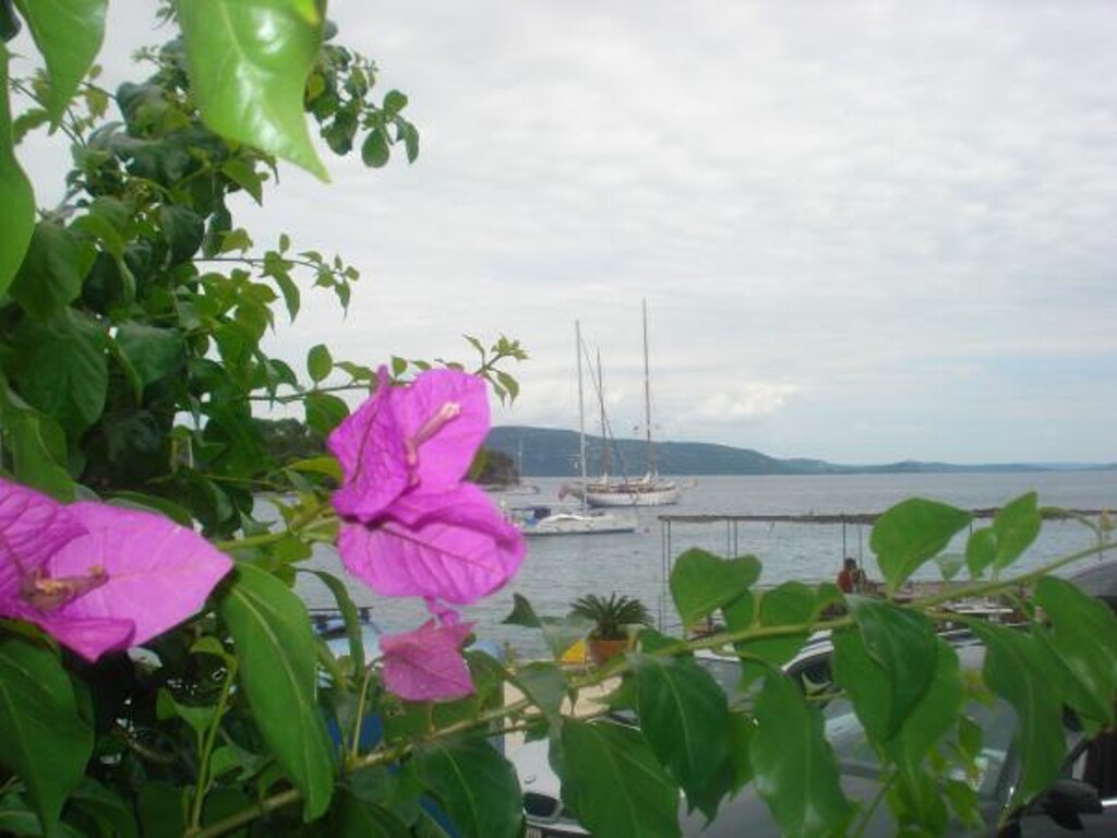 Image 3814406 - 6