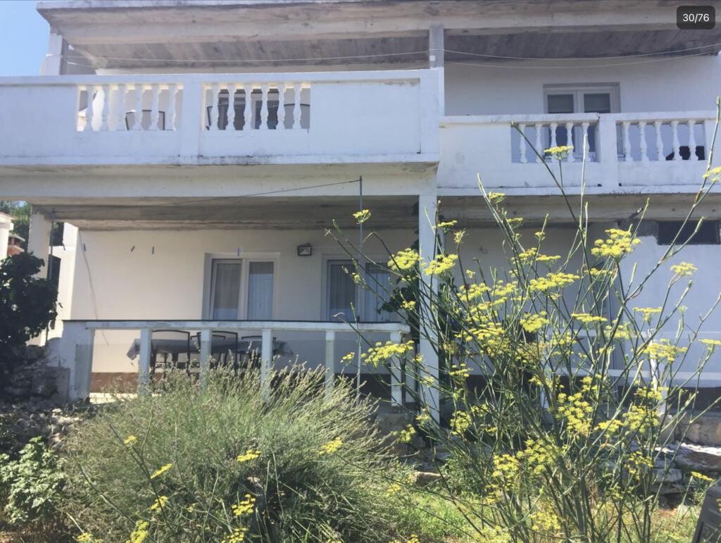 Image 19