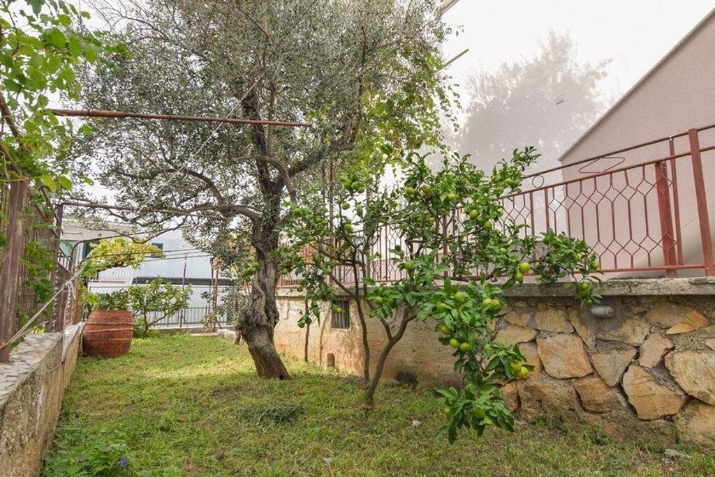 Image 3810928 - 14