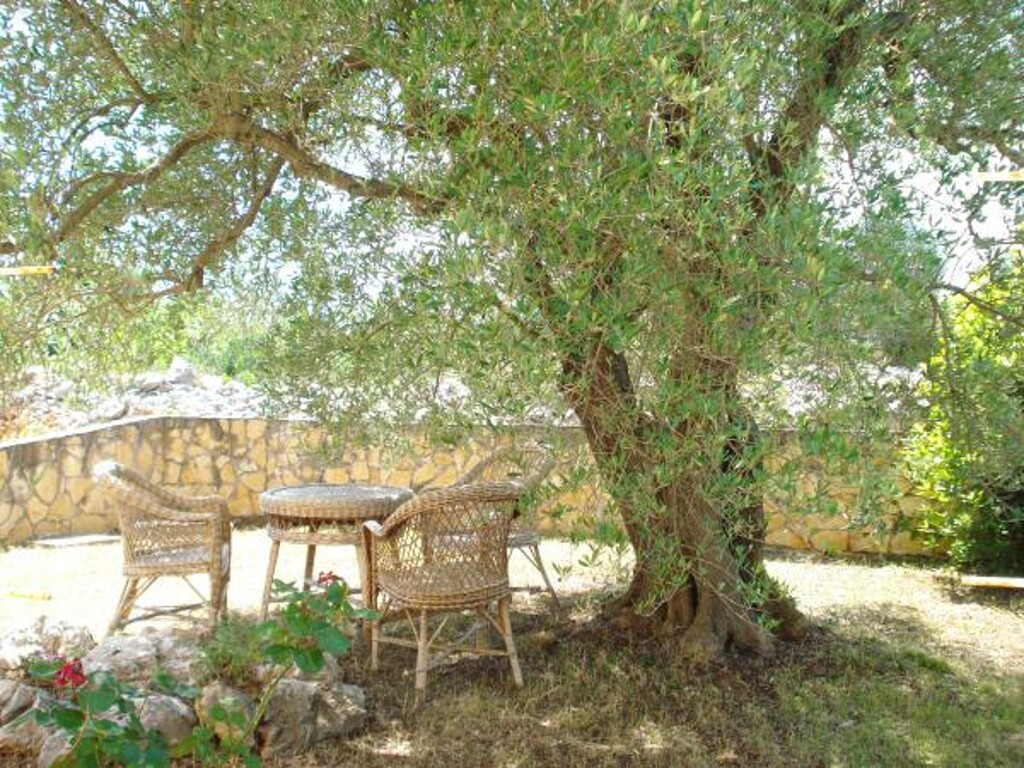 Image 3813644 - 6