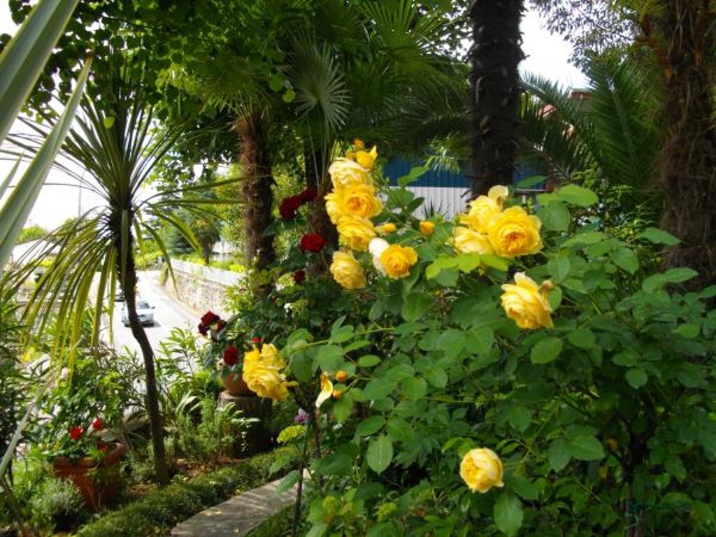 Image 3812579 - 9
