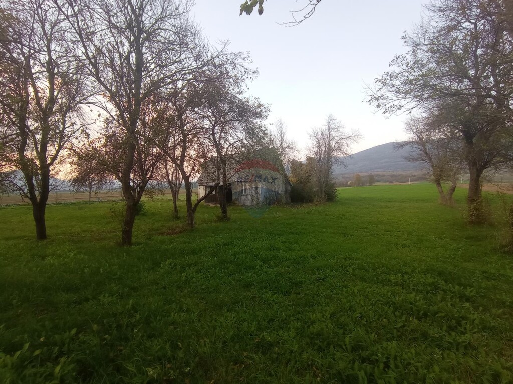Image 5487649 - 6