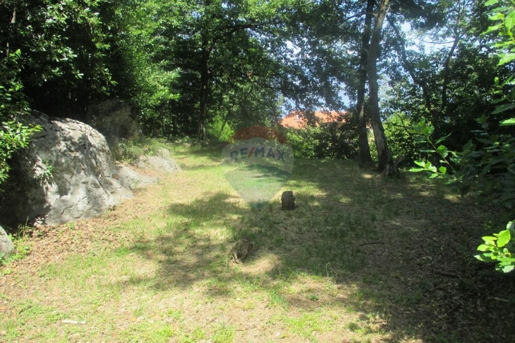 Image 5410726 - 6