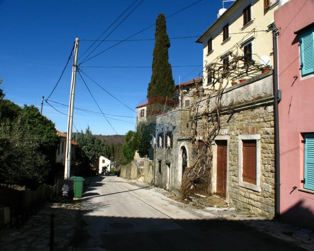 Image 8