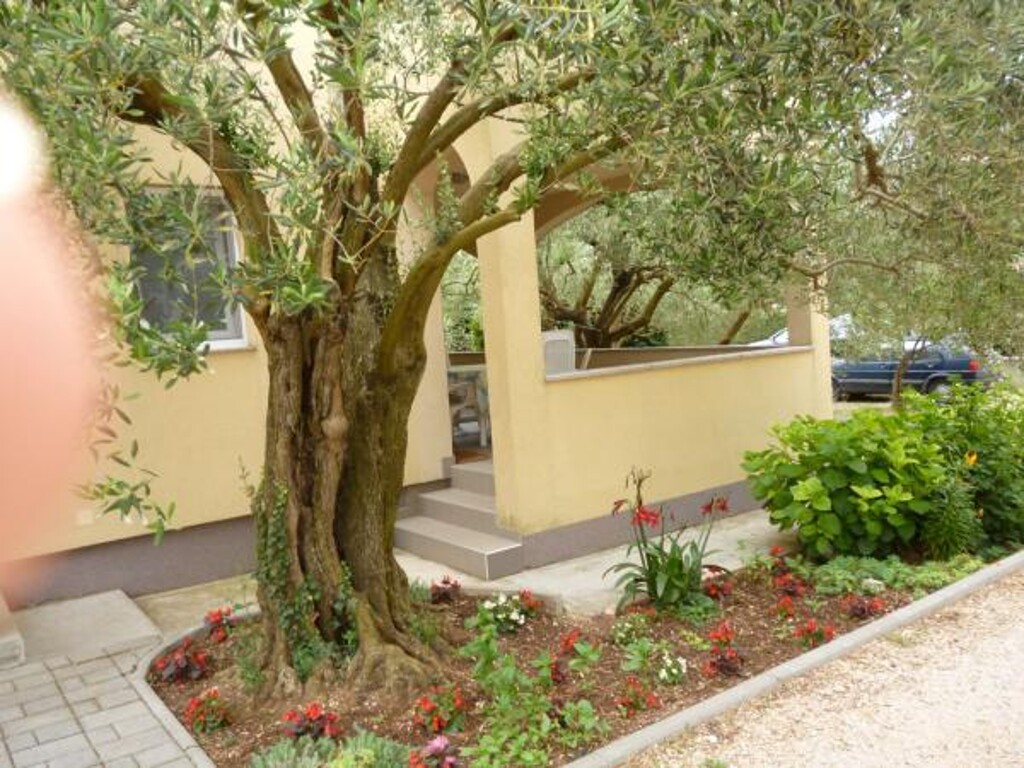Image 3838561 - 4