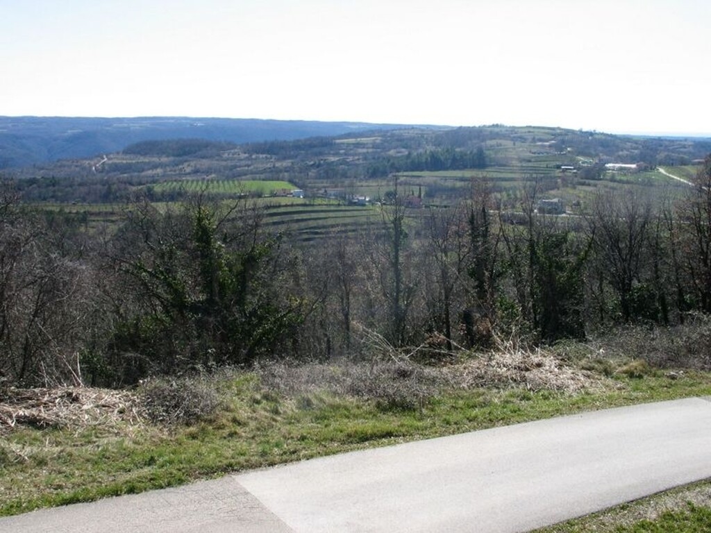 Image 13