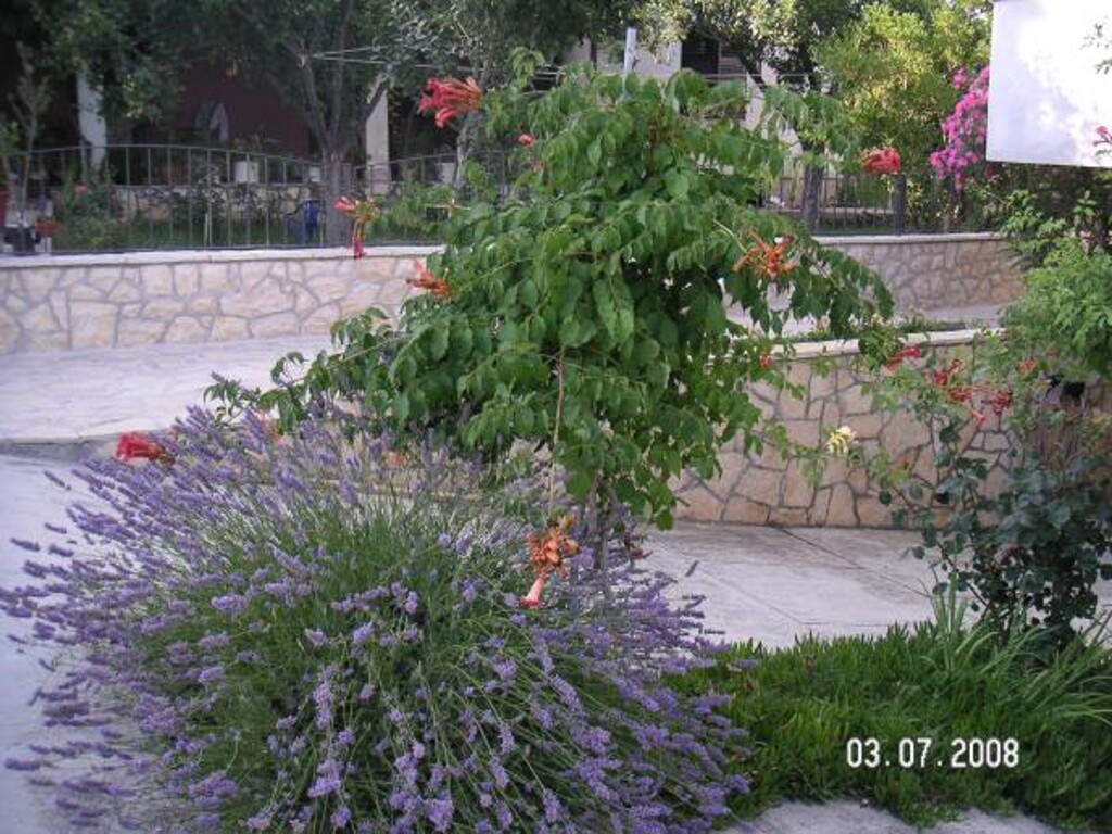 Image 3811635 - 7