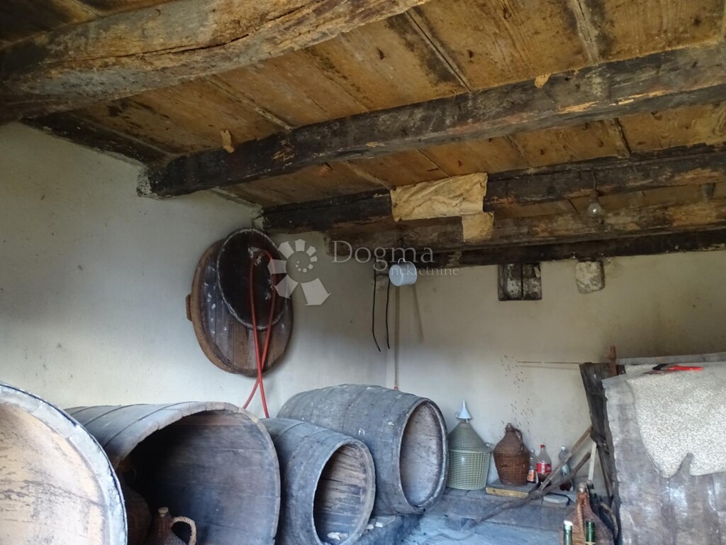 Image 20