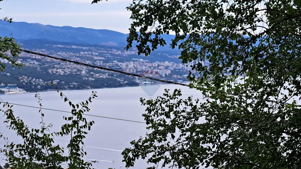 Image 5429440 - 3