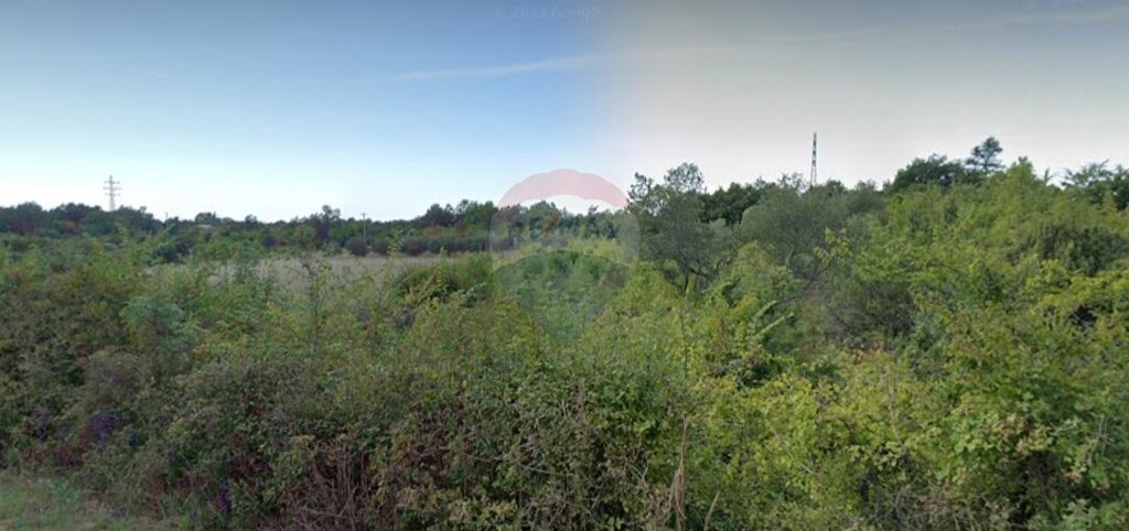 Image 5429961 - 1