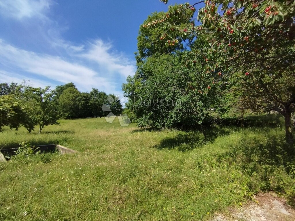 Image 20