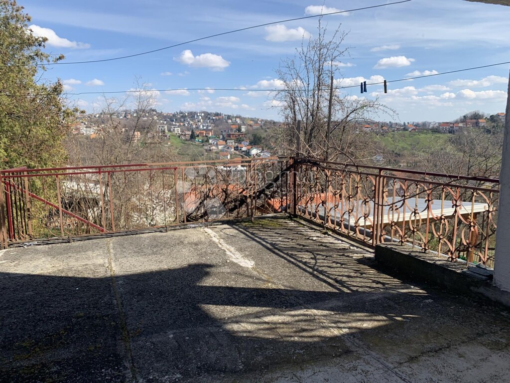 Image 13