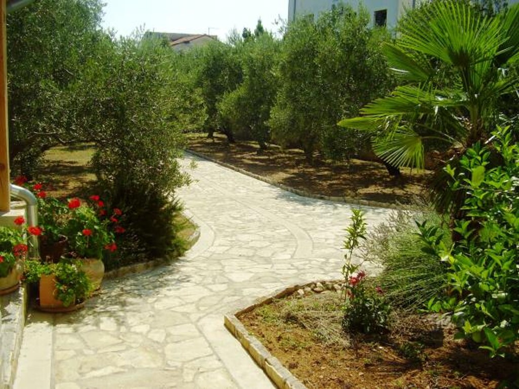 Image 3811856 - 8