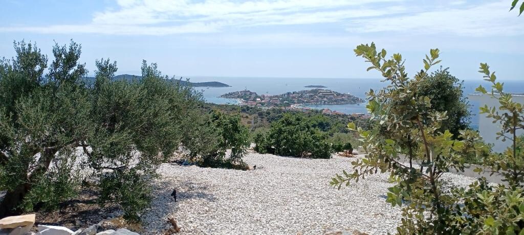 Image 3811721 - 5