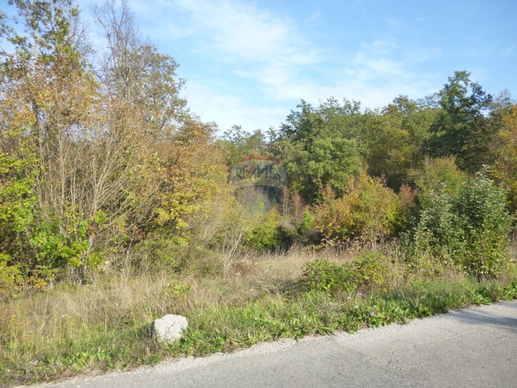 Image 5411141 - 4