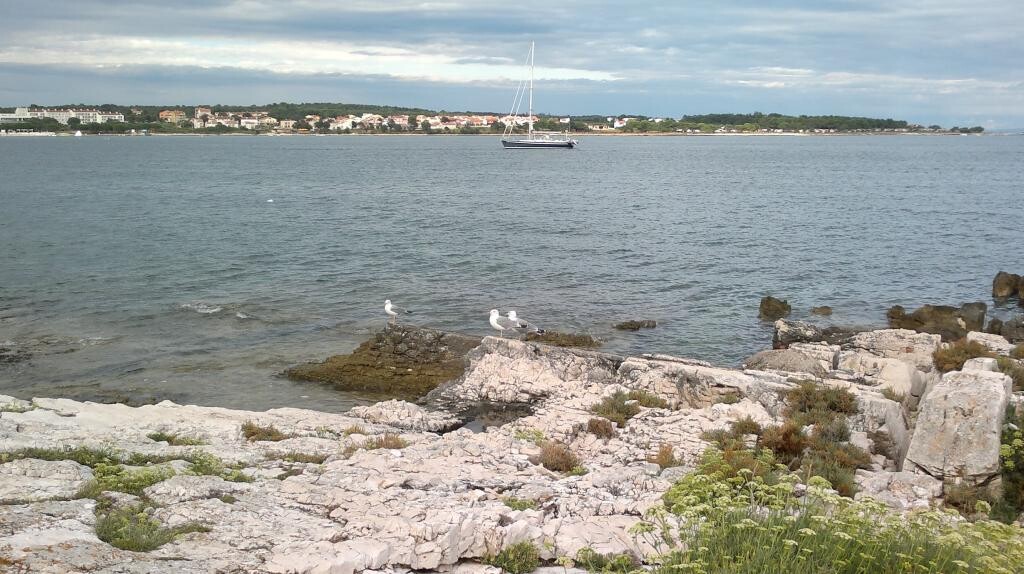 Image 3812964 - 9