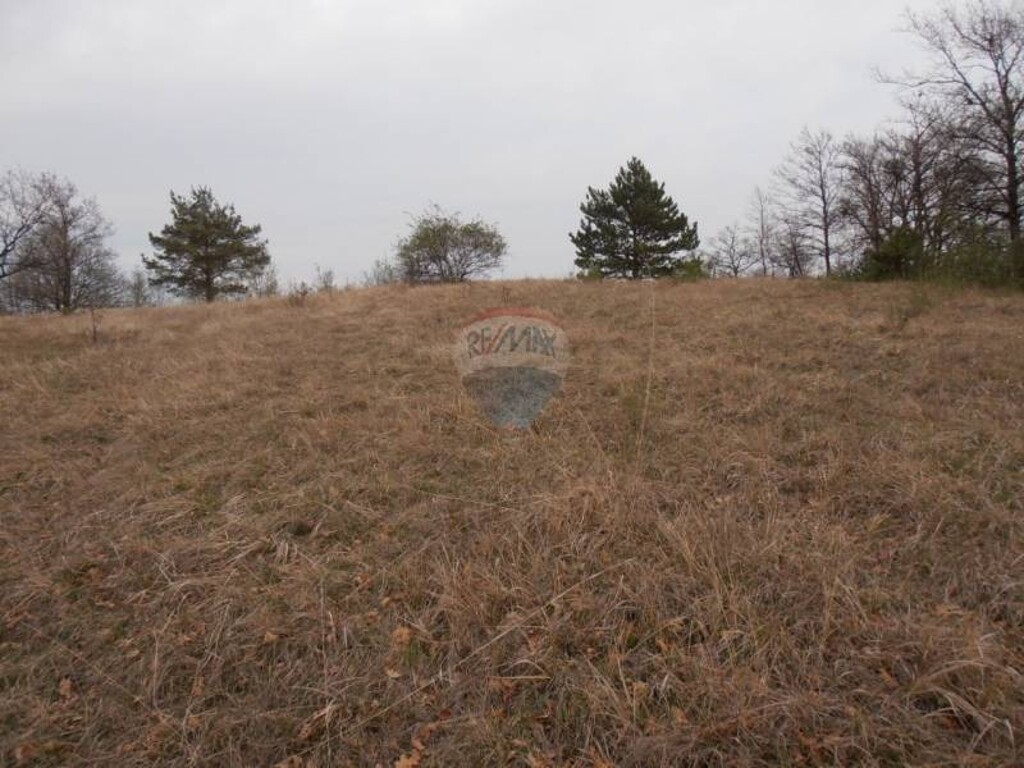 Image 5411327 - 5
